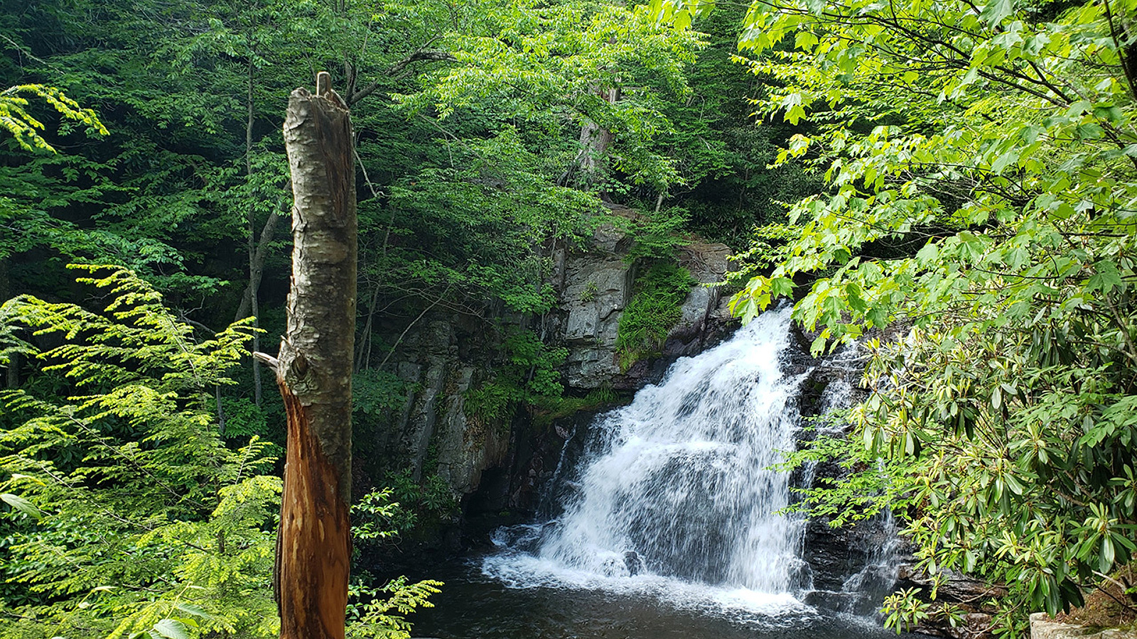 NJ Falls Here waterfall guide image