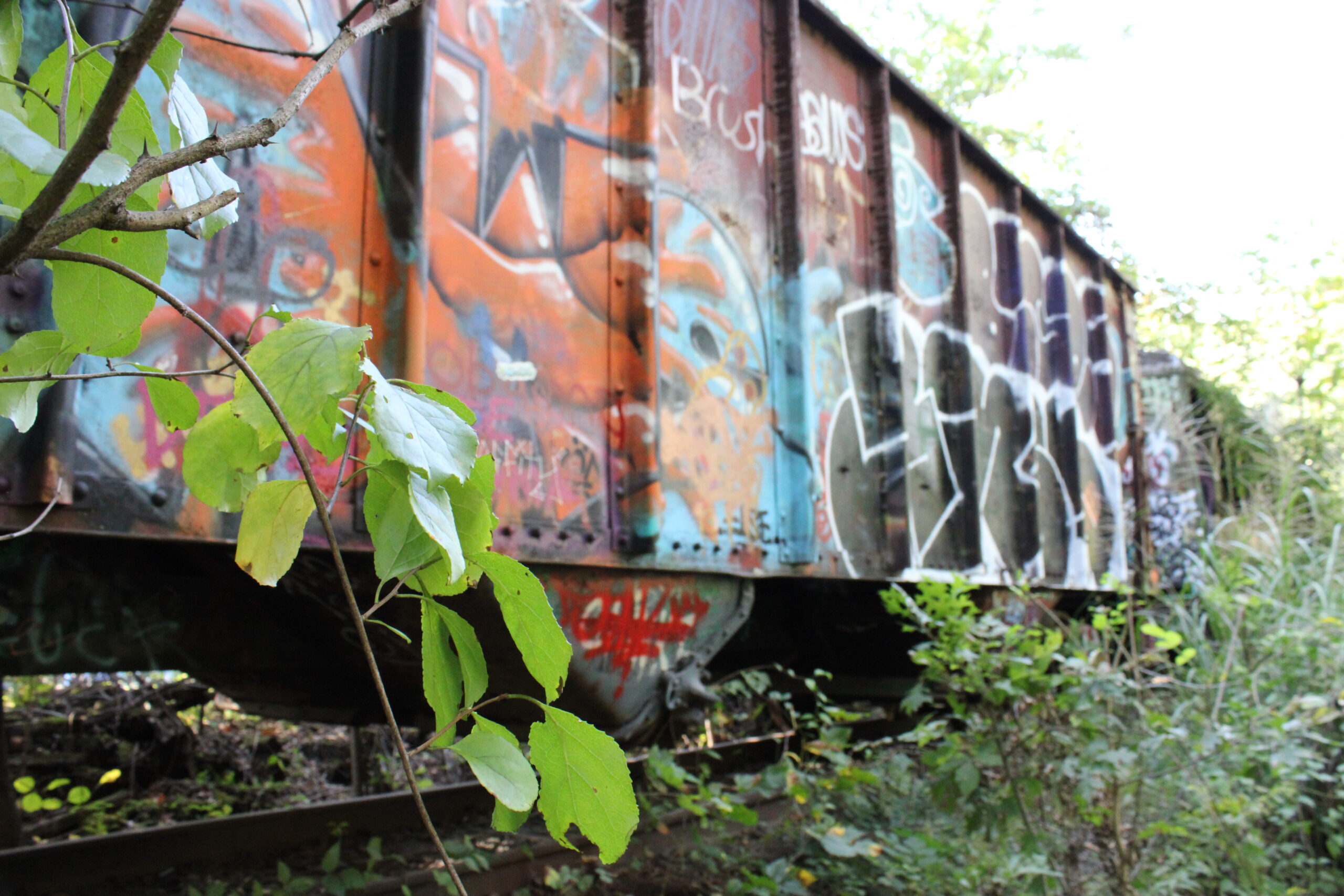 🎨 Offbeat Beauty in Lambertville: The Graffiti Train of New Jersey featured image for NJ Falls Here.